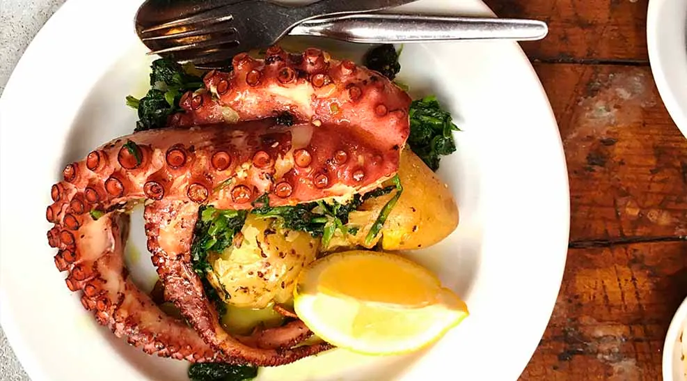 Polvo à lagareiro octopus