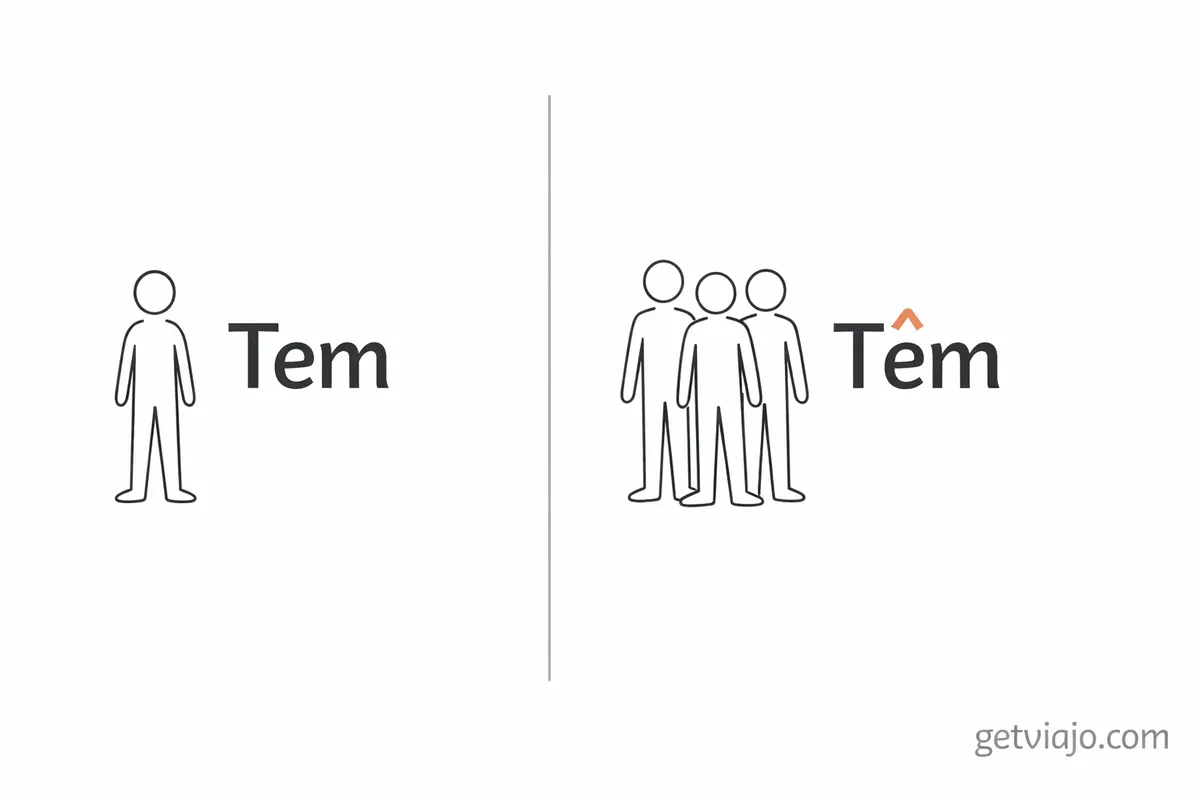 A comparison showing the accent difference between singular Tem and plural Têm.